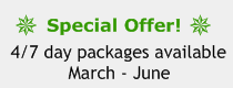 Special offer!